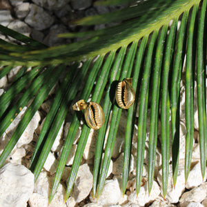 Cowrie Earrings