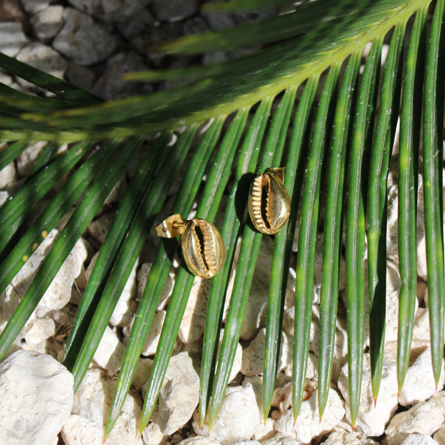 Cowrie Earrings